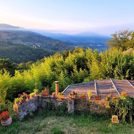 Agriturismo I Pitti Serravalle Pistoiese المظهر الخارجي الصورة