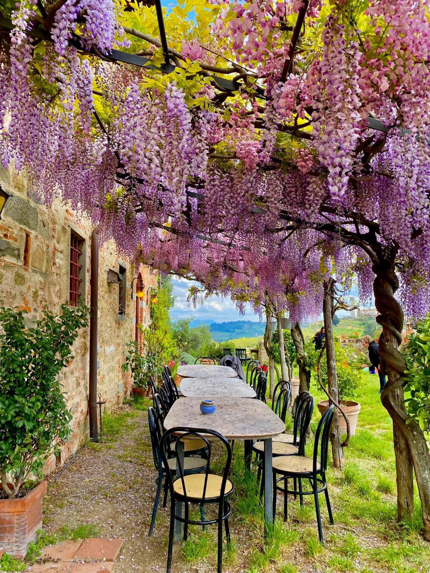 Agriturismo I Pitti Serravalle Pistoiese المظهر الخارجي الصورة
