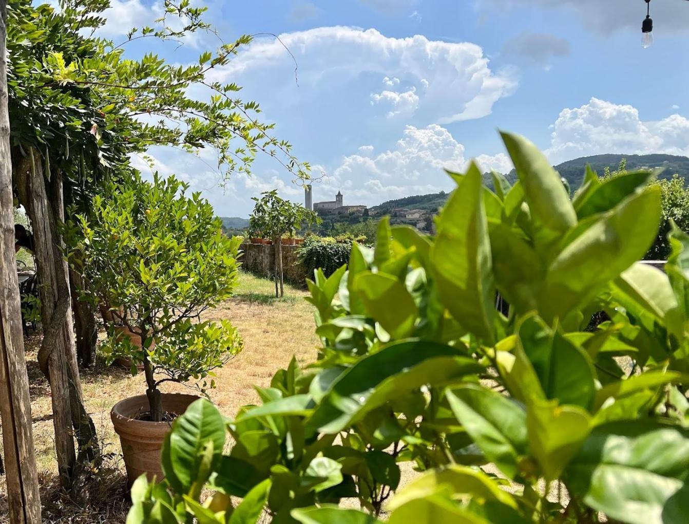 Agriturismo I Pitti Serravalle Pistoiese المظهر الخارجي الصورة